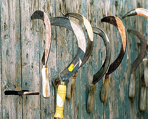 Серпы на деревянной стене