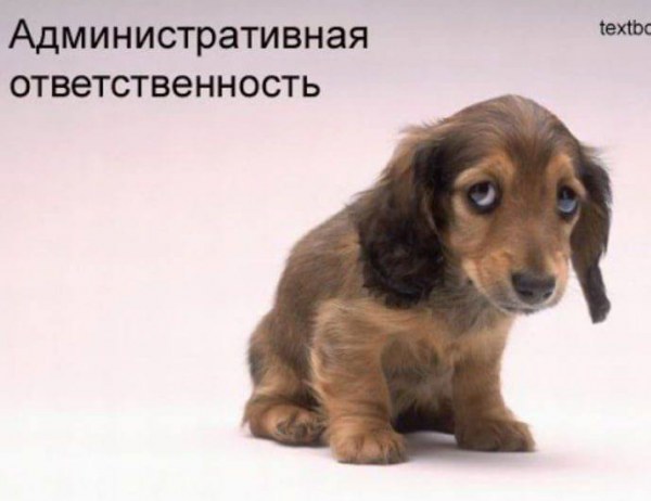 жизненноважнаякартинка.jpg