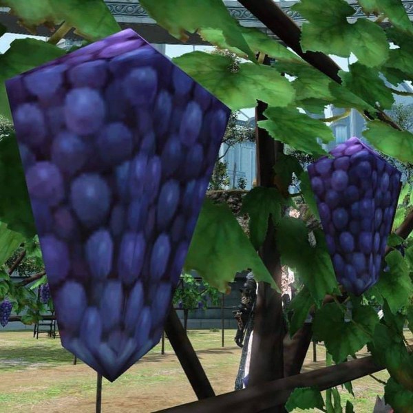 grape.jpg