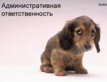 жизненноважнаякартинка.jpg